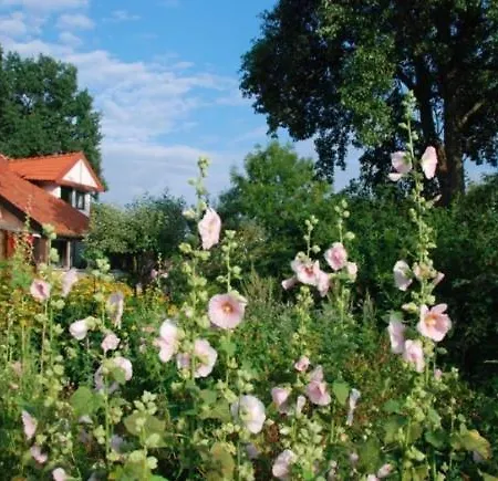 招待所 Pension Jakubowo 3*